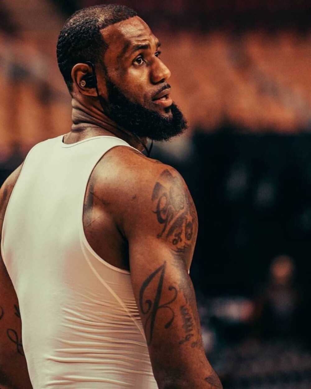 同曦新秀连续打出高光（同曦新秀连场闪耀）